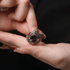 Pure silver ring S925 silver personalized men's rainbow glass index finger starry ring - MOWTE