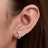 S925 pure silver micro inlaid zircon seahorse small animal earrings - MOWTE