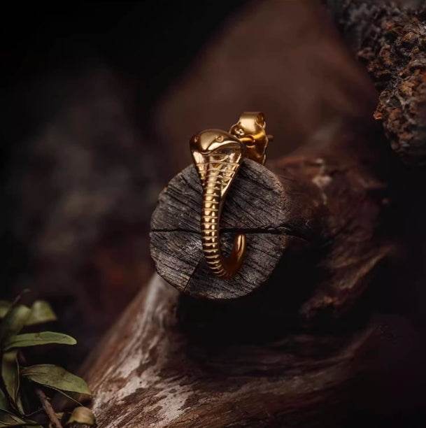 Cobra earring sterling silver hip-hop trendy handsome silver earrings - MOWTE