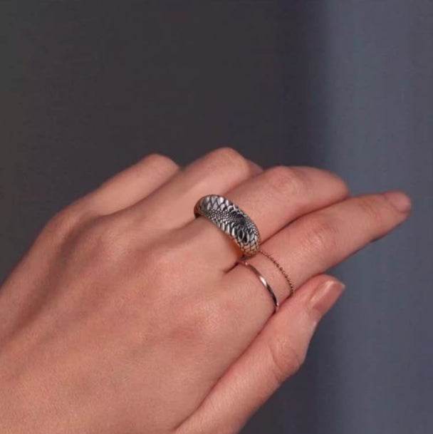 Men's 925 sterling silver ring domineering endless snake silver ring - MOWTE