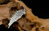 Eagle Feathers - MOWTE