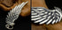 Eagle Feathers - MOWTE