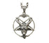 Men's fashion sterling silver magic sheep star pendant & necklace - MOWTE