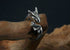 Men's fashion little white dragon sterling silver ring - MOWTE