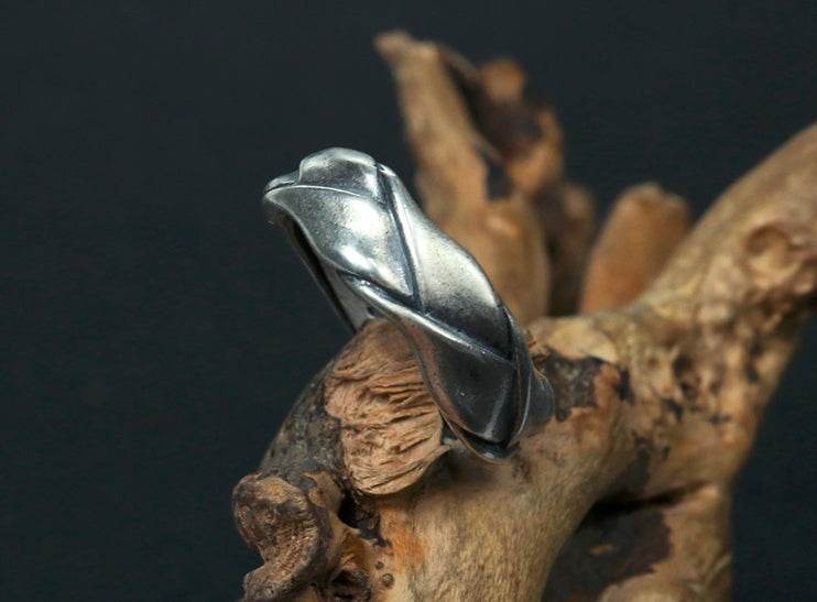 Men's fashion winding tail silver ring - MOWTE