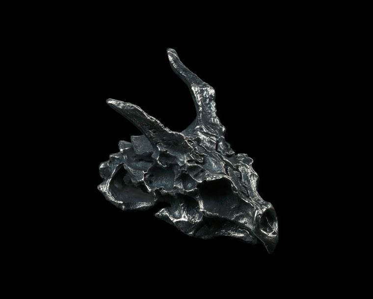 Men's fashion sterling silver dragon skeleton pendant & necklace - MOWTE