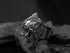 Men's personality lion sterling silver ring - MOWTE